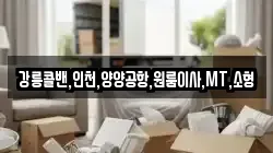 강릉콜밴,인천,양양공항,원룸이사,MT,소형