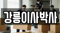 강릉이사박사