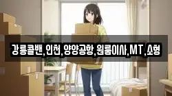 강릉콜밴,인천,양양공항,원룸이사,MT,소형