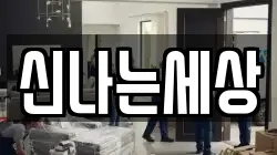 신나는세상