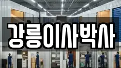 강릉이사박사