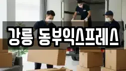 강릉 동부익스프레스