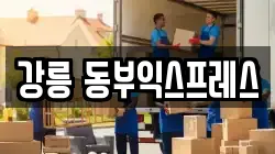 강릉 동부익스프레스