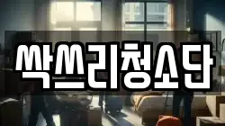 싹쓰리청소단