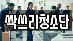 싹쓰리청소단