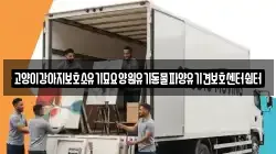 고양이강아지보호소유기묘요양원유기동물파양유기견보호센터쉼터