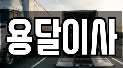 용달이사