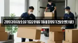 고양이강아지보호소유기묘요양원유기동물파양유기견보호센터쉼터