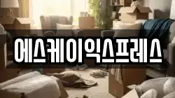 에스케이익스프레스