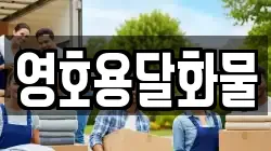 영호용달화물