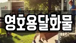 영호용달화물