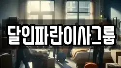 달인파란이사그룹