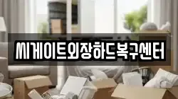 씨게이트외장하드복구센터