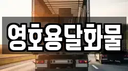 영호용달화물