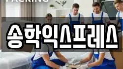 송학익스프레스