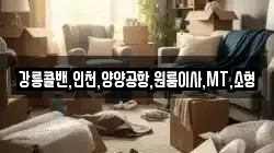 강릉콜밴,인천,양양공항,원룸이사,MT,소형