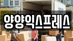 양양익스프레스