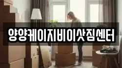 양양케이지비이삿짐센터