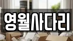 영월사다리