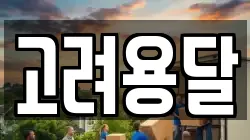 고려용달