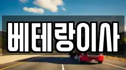 베테랑이사