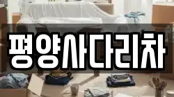 평양사다리차