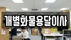 개별화물용달이사