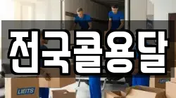 전국콜용달