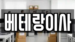 베테랑이사