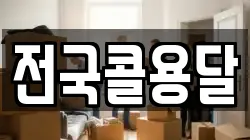 전국콜용달