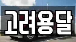 고려용달