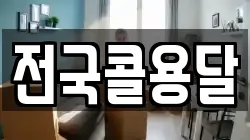 전국콜용달