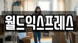 월드익스프레스