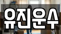 유진운수