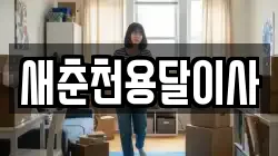 새춘천용달이사