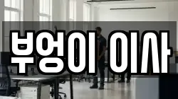 부엉이 이사