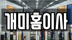 개미홈이사