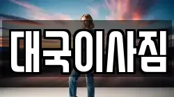 대국이사짐
