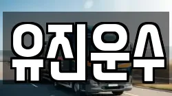 유진운수