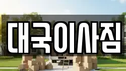 대국이사짐