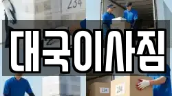 대국이사짐