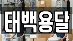 태백용달