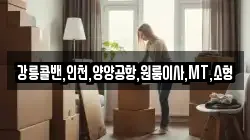 강릉콜밴,인천,양양공항,원룸이사,MT,소형