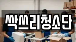 싹쓰리청소단