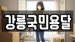 강릉국민용달