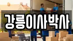 강릉이사박사