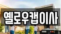 옐로우캡이사