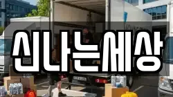 신나는세상