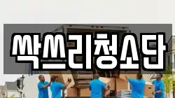 싹쓰리청소단