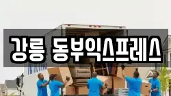 강릉 동부익스프레스